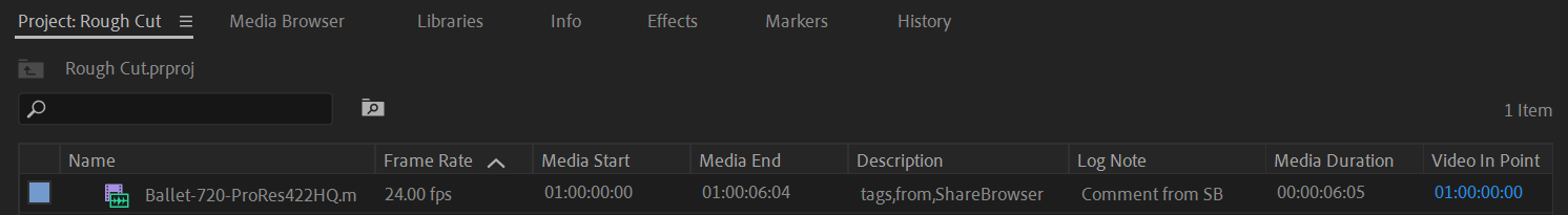 _images/SB6_Adobe_Metadata.png