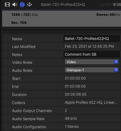 _images/SB6_FCPX_Comments.png