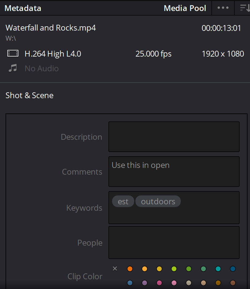 _images/SB6_Resolve_Metadata.png