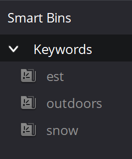 _images/SB6_Resolve_SmartBins.png